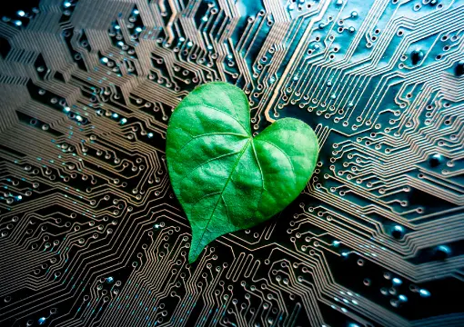 非凡体育app案例